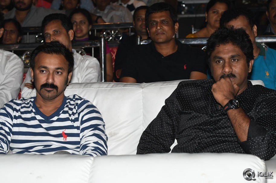 Pelli-Choopulu-Movie-Audio-Launch